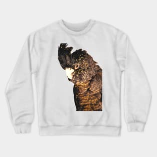 Black Cockatoo Illustration Crewneck Sweatshirt